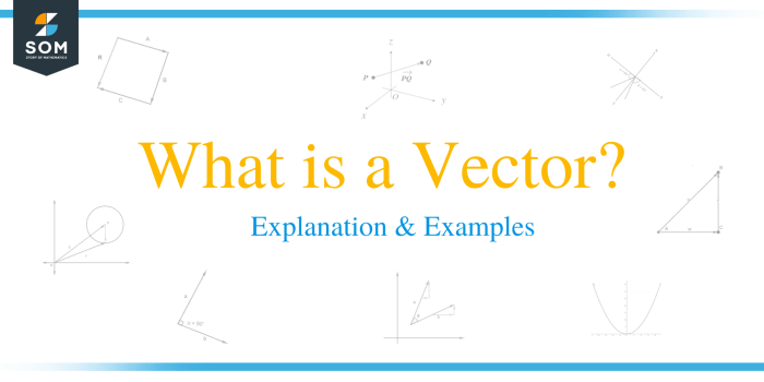 Vector vs raster graphics