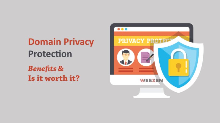 Domain Privacy Protection - Hosting Master | Blog
