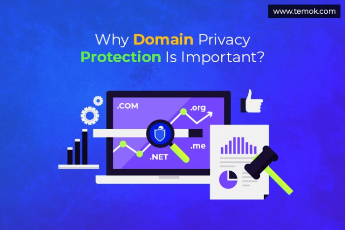 Domain Privacy Protection and its Benefits - Webxen